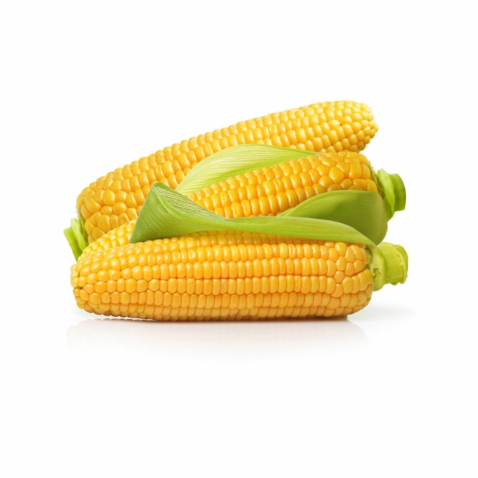Sweet Corn
